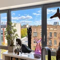 Room for rent in Prospect Heights #1