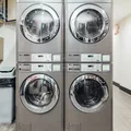 Coliving in Bushwick - Brooklyn, New York