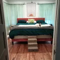 Room for rent in Carrollton #1