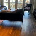 Room for rent in LoDo #14