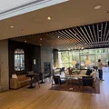 Room for rent in LoDo #7