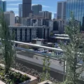 Room for rent in LoDo #2