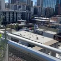 Room for rent in LoDo #15