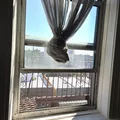 Room for rent in Sunnyside #9