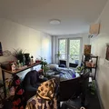 Room for rent in Crown Heights #5
