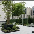 Room for rent in Crown Heights #6