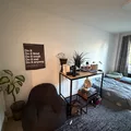 Room for rent in Crown Heights #11