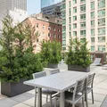1 bedroom apartment for rent in FiDi - Manhattan, New York