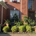Room for rent in Southeast Arlington #1
