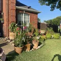 Room for rent in Southeast Arlington #3