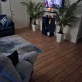 Room for rent in Largo #3