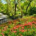3 bedrooms apartment for rent in Morningside Heights - Manhattan, New York