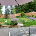 Room for rent in Lynnwood #13