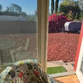 Room for rent in El Cajon #3
