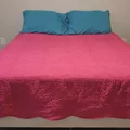 Room for rent in Mckinney #3