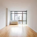 1 bedroom apartment for rent in FiDi - Manhattan, New York