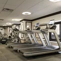 1 bedroom apartment for rent in Upper West Side - Manhattan, New York