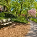 2 bedrooms apartment for rent in Upper West Side - Manhattan, New York