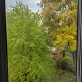 Room for rent in Richmond Hill #14