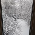 Room for rent in Richmond Hill #15