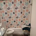 Room for rent in South Fort Worth #4