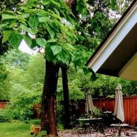 Room for rent in Casa Linda - Ne Dallas, Dallas