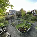Room for rent in Ballard #1