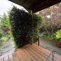 Room for rent in Ballard #26