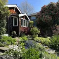 Room for rent in Ballard #19