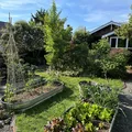 Room for rent in Ballard #20