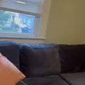 Room for rent in Franklin Square #3