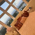 Room for rent in South Los Angeles #11