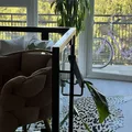Room for rent in South Los Angeles #12