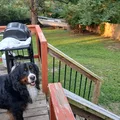 Room for rent in East Side #1