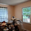 Room for rent in East Side #5