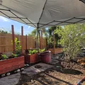 Room for rent in North Las Vegas #10