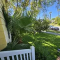 Room for rent in Calabasas #2