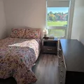 Room for rent in Willowdale #1