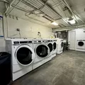 Studio Apartment for rent in Crown Heights - Brooklyn, New York