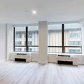 1 bedroom apartment for rent in FiDi - Manhattan, New York