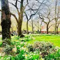 1 bedroom apartment for rent in Greenwich Village - Manhattan, New York