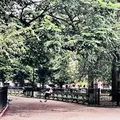 1 bedroom apartment for rent in Greenwich Village - Manhattan, New York