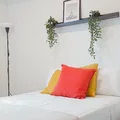 Coliving in Kensington-Cedar Cottage - East Van, Vancouver