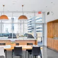 1 bedroom apartment for rent in FiDi - Manhattan, New York
