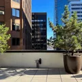 2 bedrooms apartment for rent in FiDi - Manhattan, New York