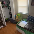 Room for rent in Bethany #2