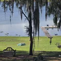 Room for rent in University of Florida #14
