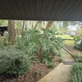 Room for rent in University of Florida #11