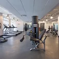 2 bedrooms apartment for rent in LIC - Queens, New York