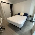 Coliving in Garden District - Downtown TO, Toronto